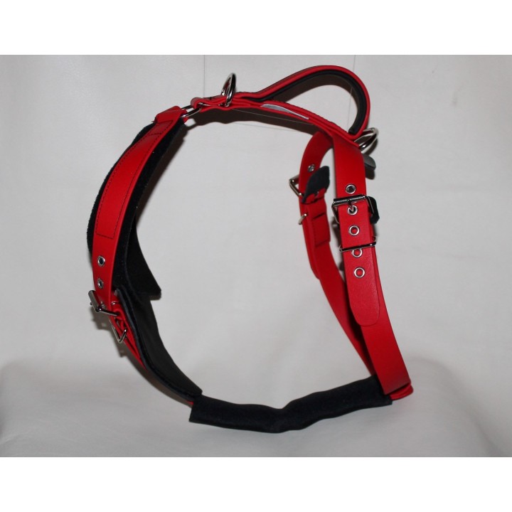 dog harness
