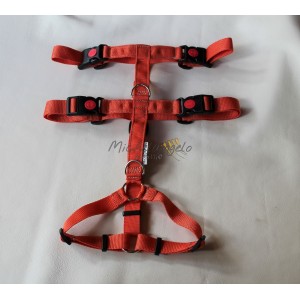 H harness for Greyhound size M