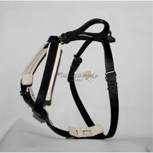 Harness for training with Name