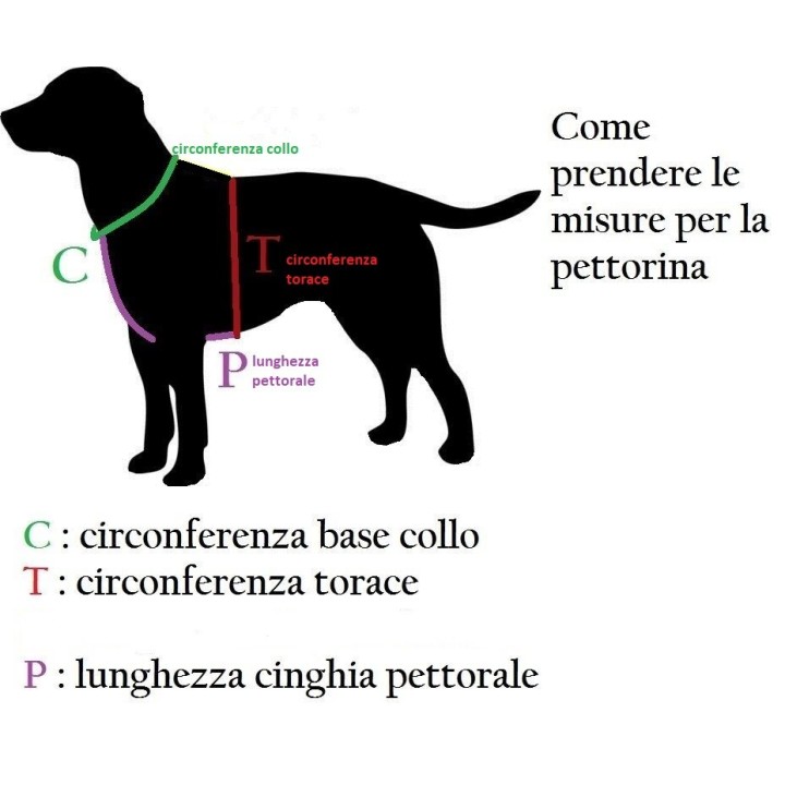 pettorina per cani molecolari ricerca e recupero mantrailing
