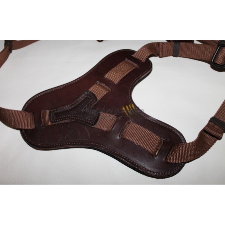 Pettorina Mantrailing