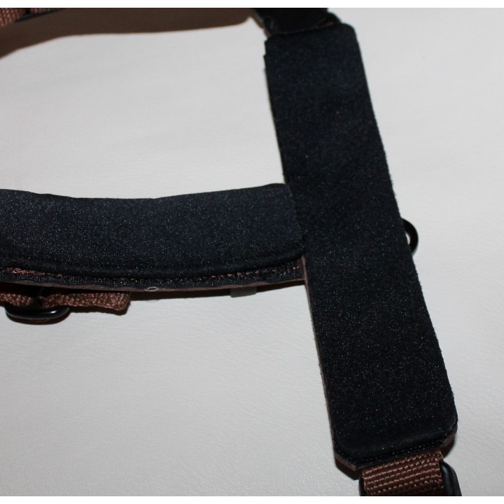 bloodhound harness