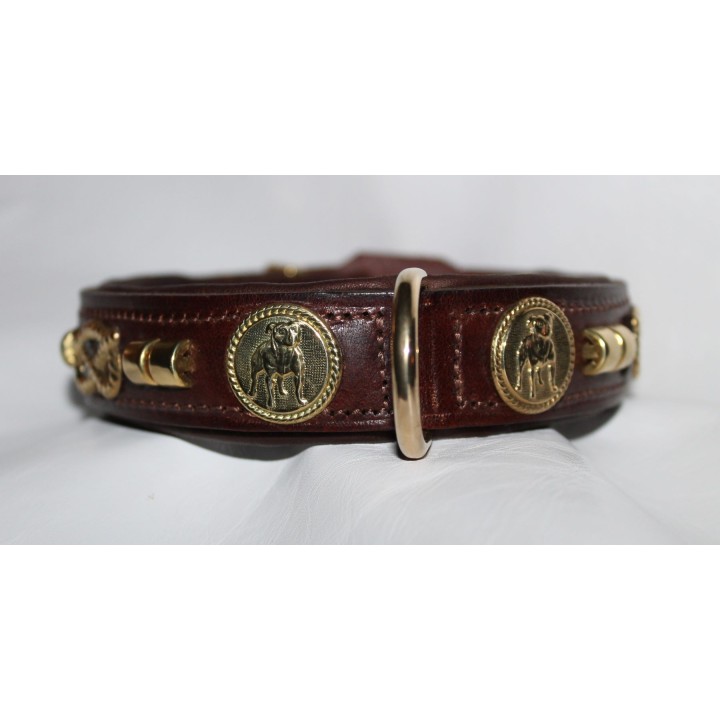 Staffordshire Bull Terrier collar