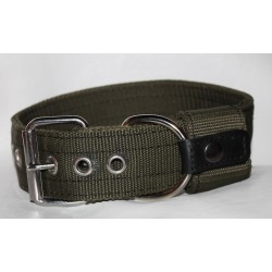 strong collar for dog