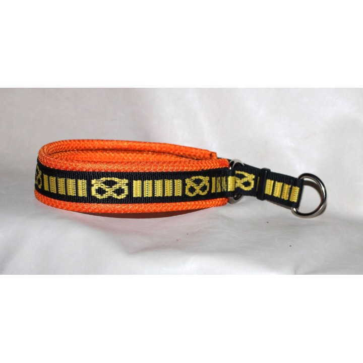 collare per staffordshire bull terrier