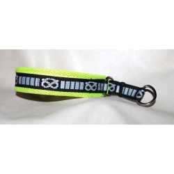 collar for staffordshire bull terrier