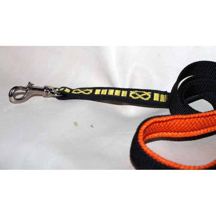 leash for staffordshire bull terrier