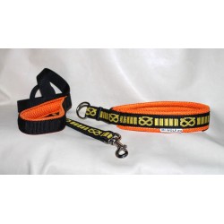 collar for staffordshire bull terrier