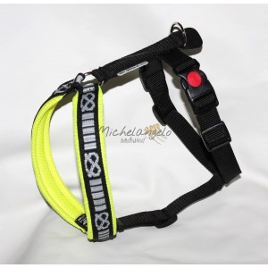 Pettorina per Staffordshire...