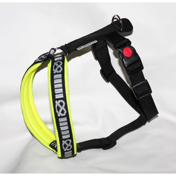 harness for staffordshire bull terrier