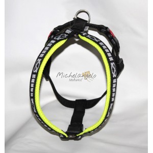 Pettorina per Staffordshire...