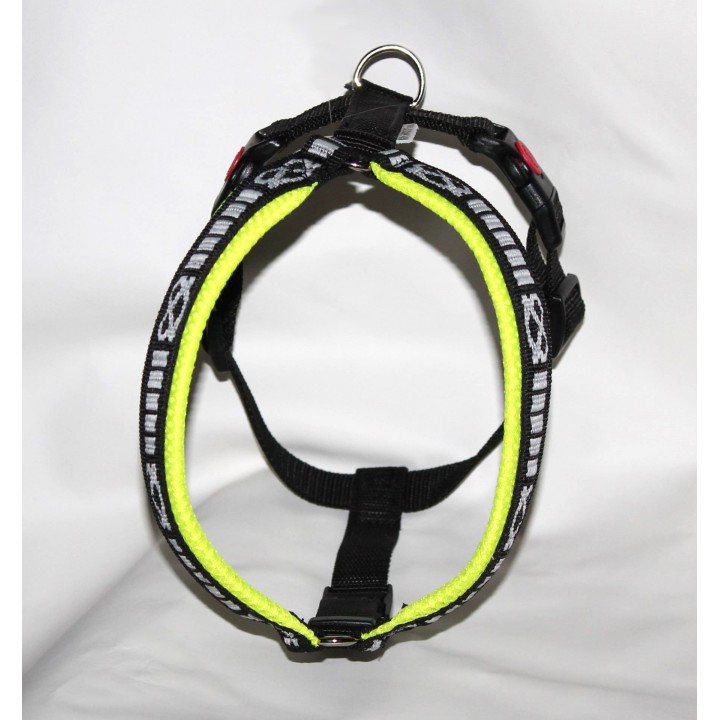 harness for staffordshire bull terrier