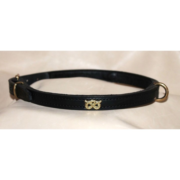Leather collar show for staffordshire bull terrier