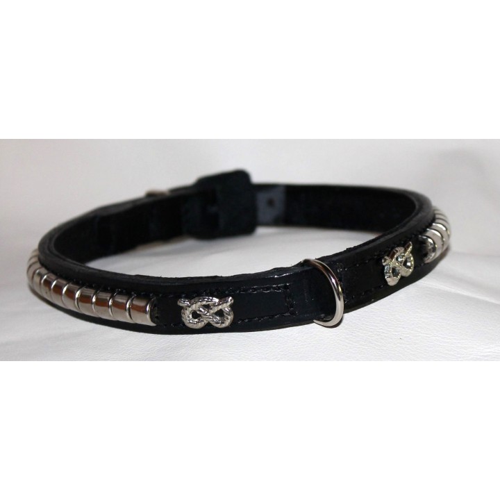 Staffordshire Bull Terrier collar