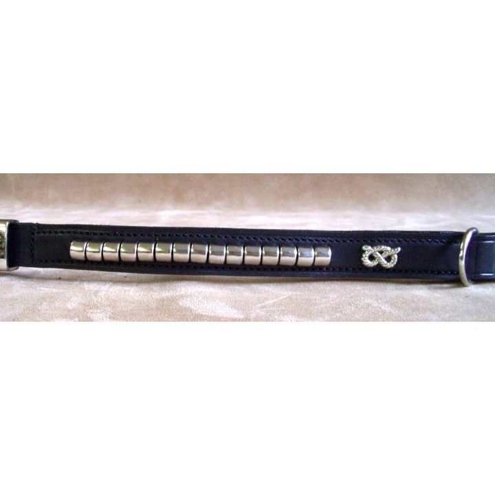 Staffordshire Bull Terrier collar
