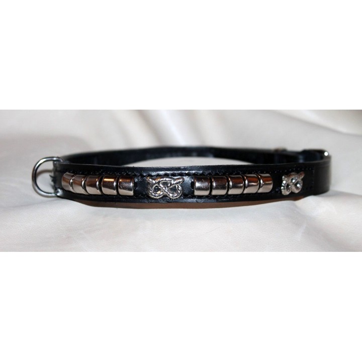 Staffordshire Bull Terrier collar