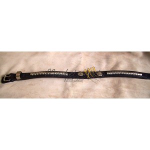 Staffordshire Bull Terrier...