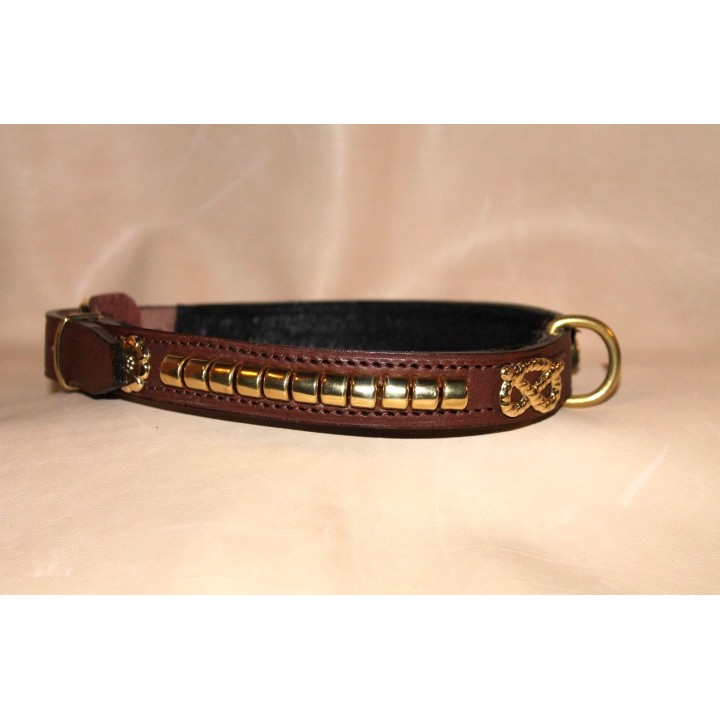 Staffordshire Bull Terrier collar