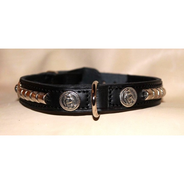 Staffordshire Bull Terrier collar