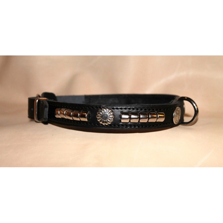 Staffordshire Bull Terrier collar