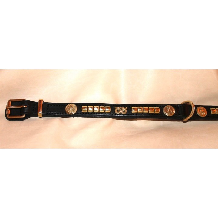Staffordshire Bull Terrier collar