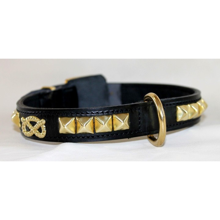 collare per staffordshire bull terrier