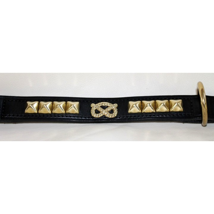 Staffordshire Bull Terrier collar