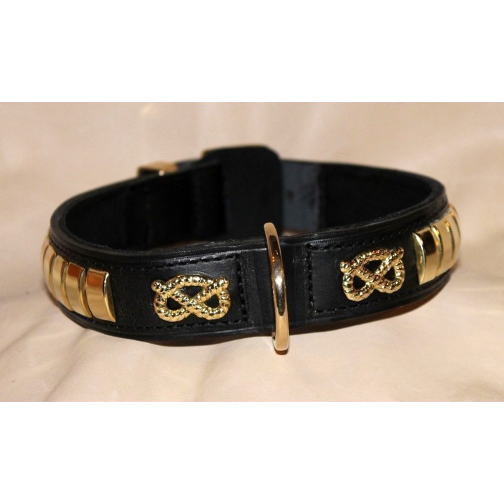 Staffordshire Bull Terrier collar
