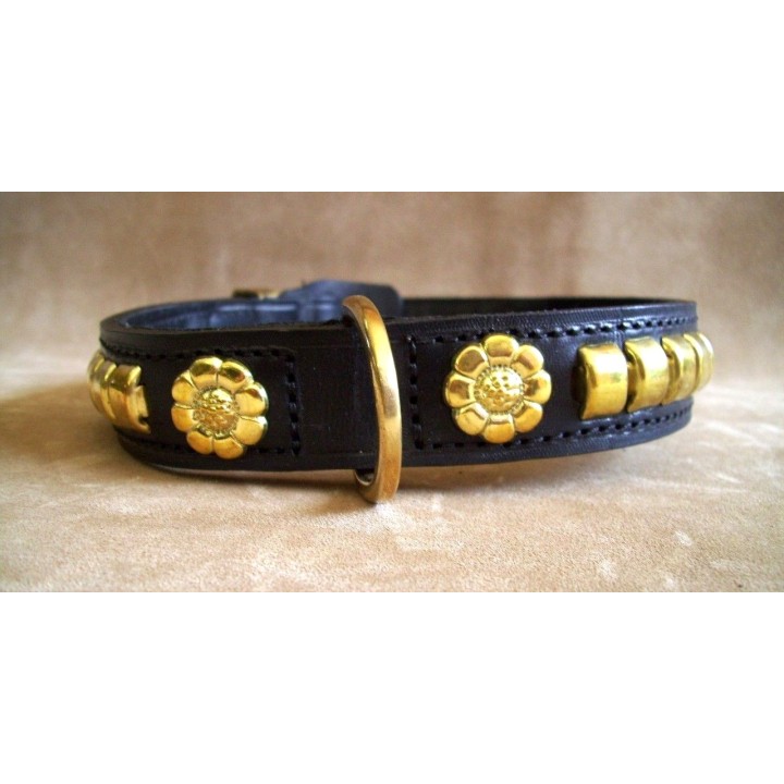 Staffordshire Bull Terrier collar