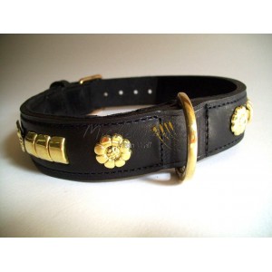 Collare  Staffordshire Bull...