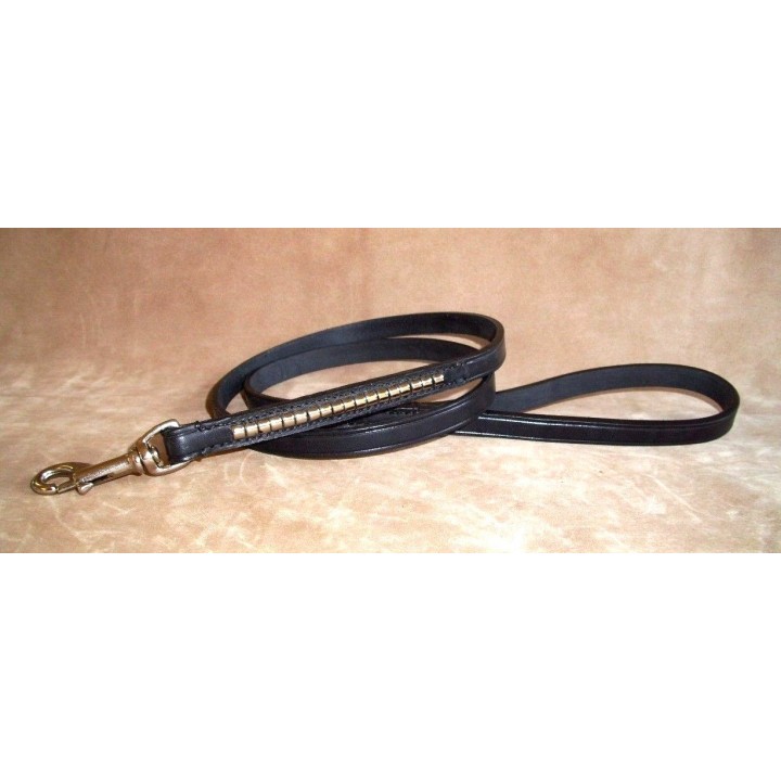 Guinzaglio Expo  Staffordshire Bull Terrier
