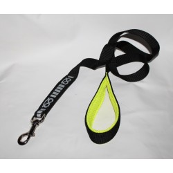 leash for staffordshire bull terrier