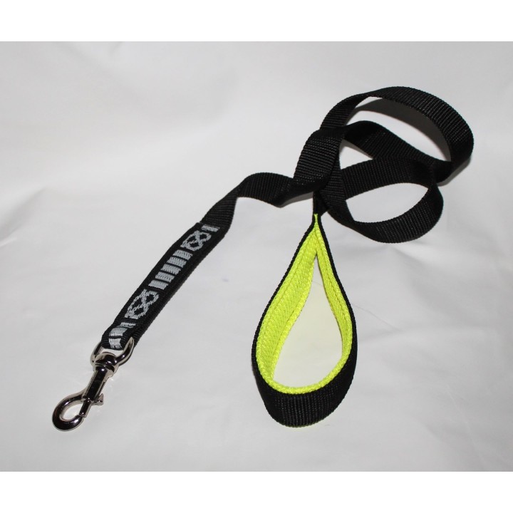 leash for staffordshire bull terrier