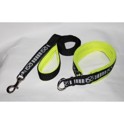 collar for staffordshire bull terrier