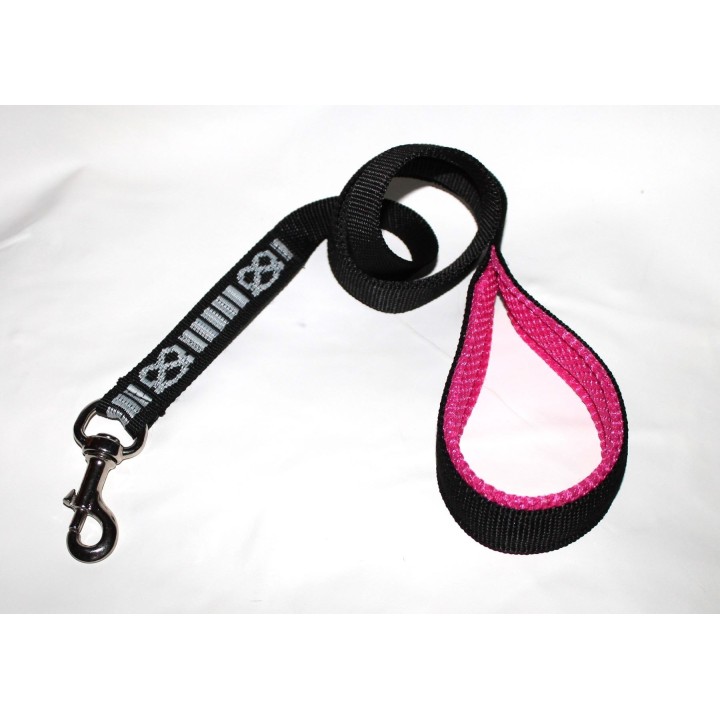leash for staffordshire bull terrier