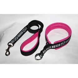 collar for staffordshire bull terrier