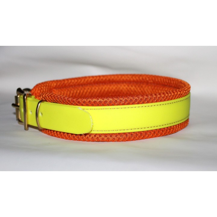 biothane collar for track dogs