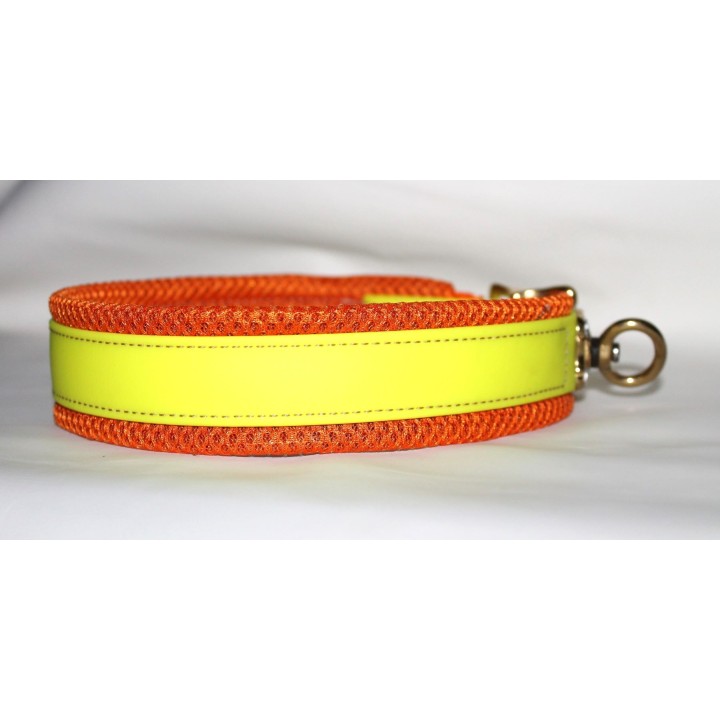 biothane collar for track dogs