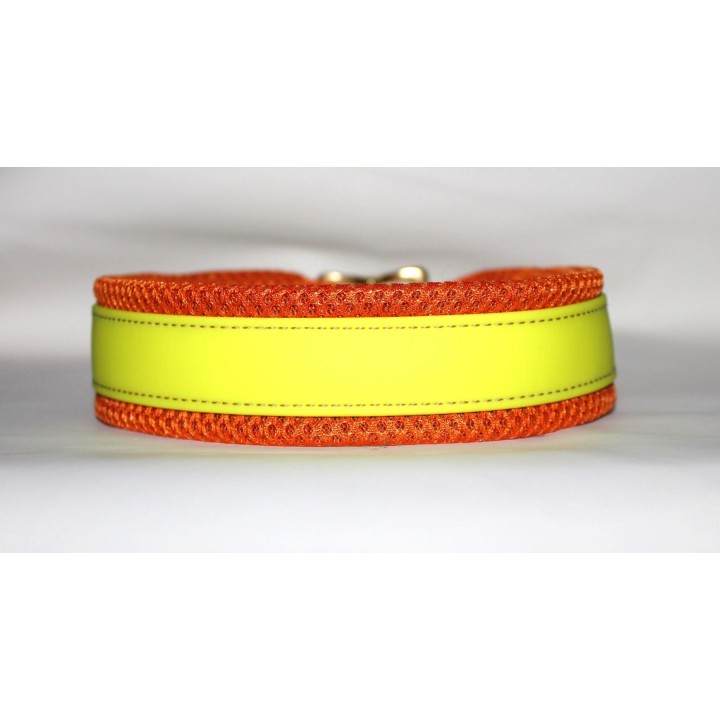 biothane collar for track dogs