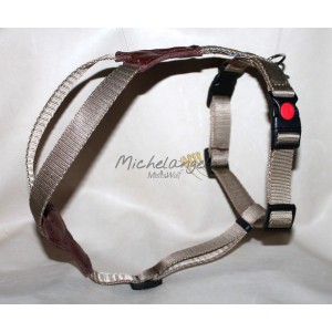 Rudi harness for Dachshund