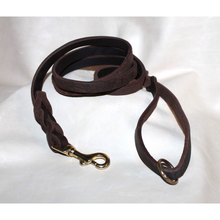 leash for dachshund dog
