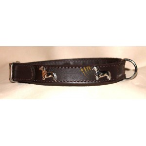 Basset Hound collar