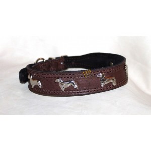 Collare per Bassotto