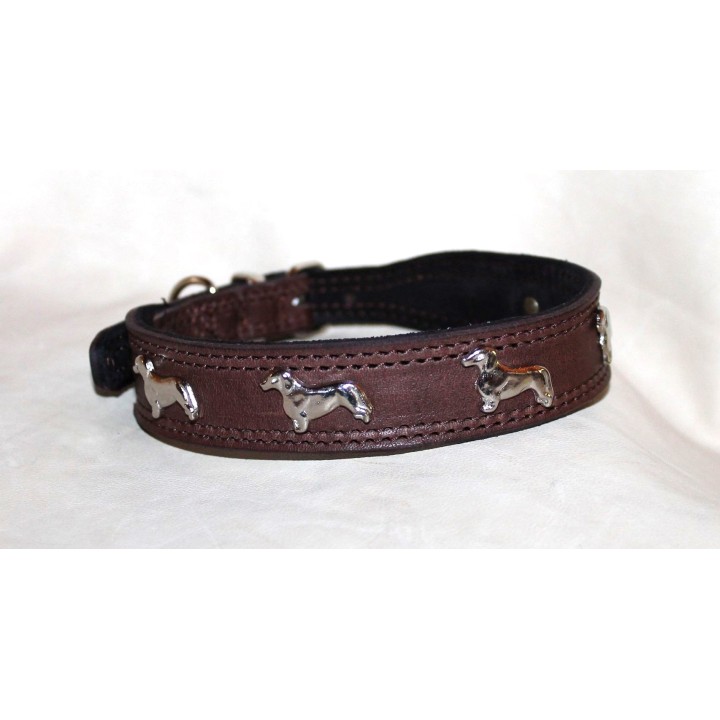 leather collar for dachshund