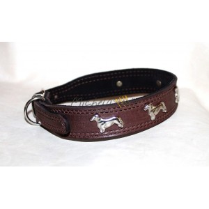 Collare per Bassotto