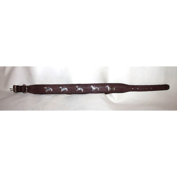 leather collar for dachshund