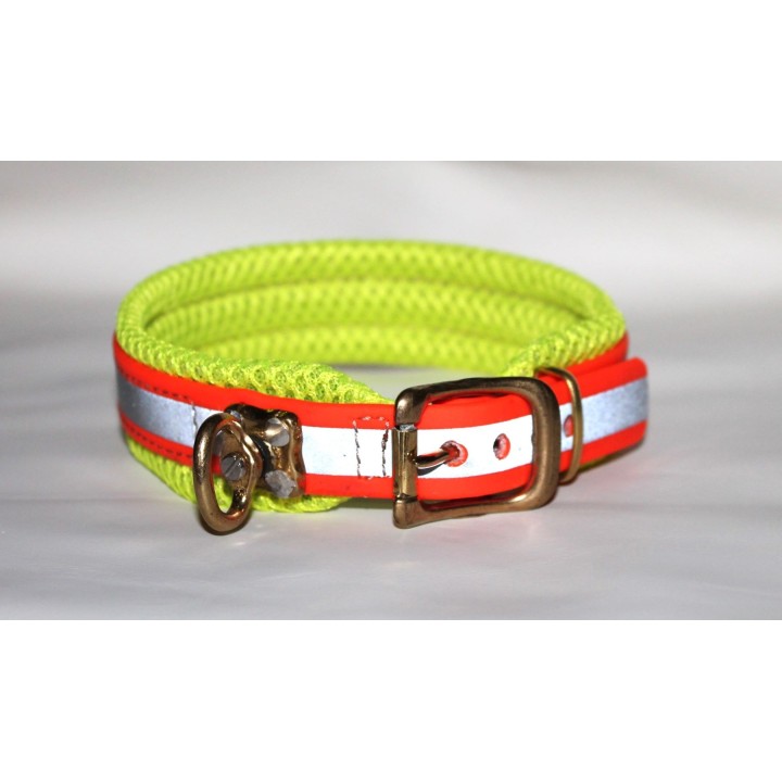 collar for dachshund