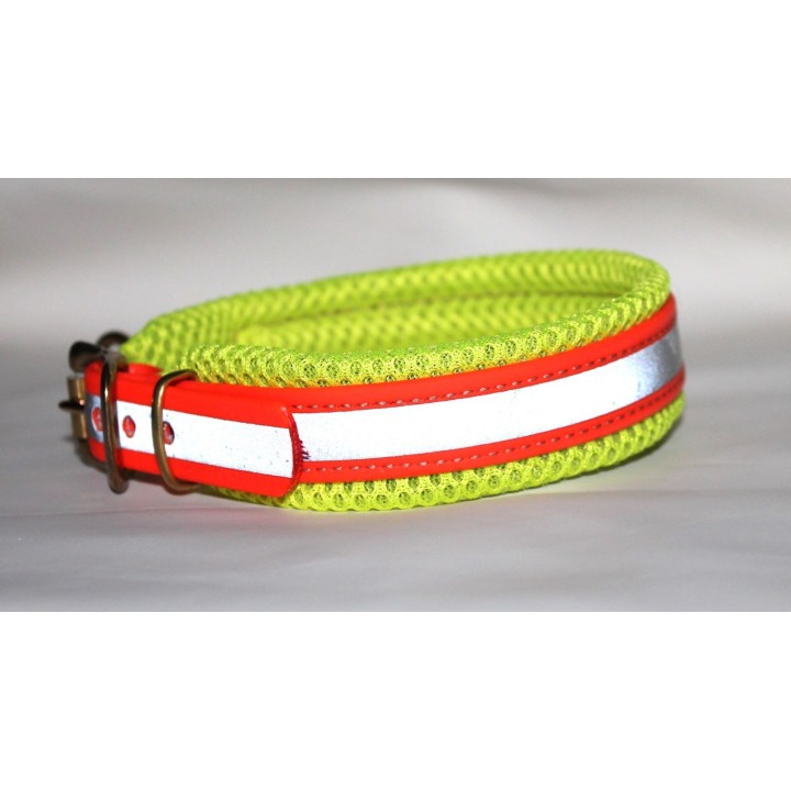 collar for dachshund