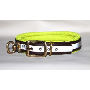 Collare per Bassotto