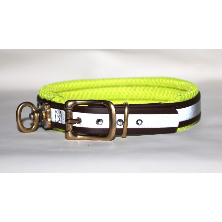 collar for dachshund